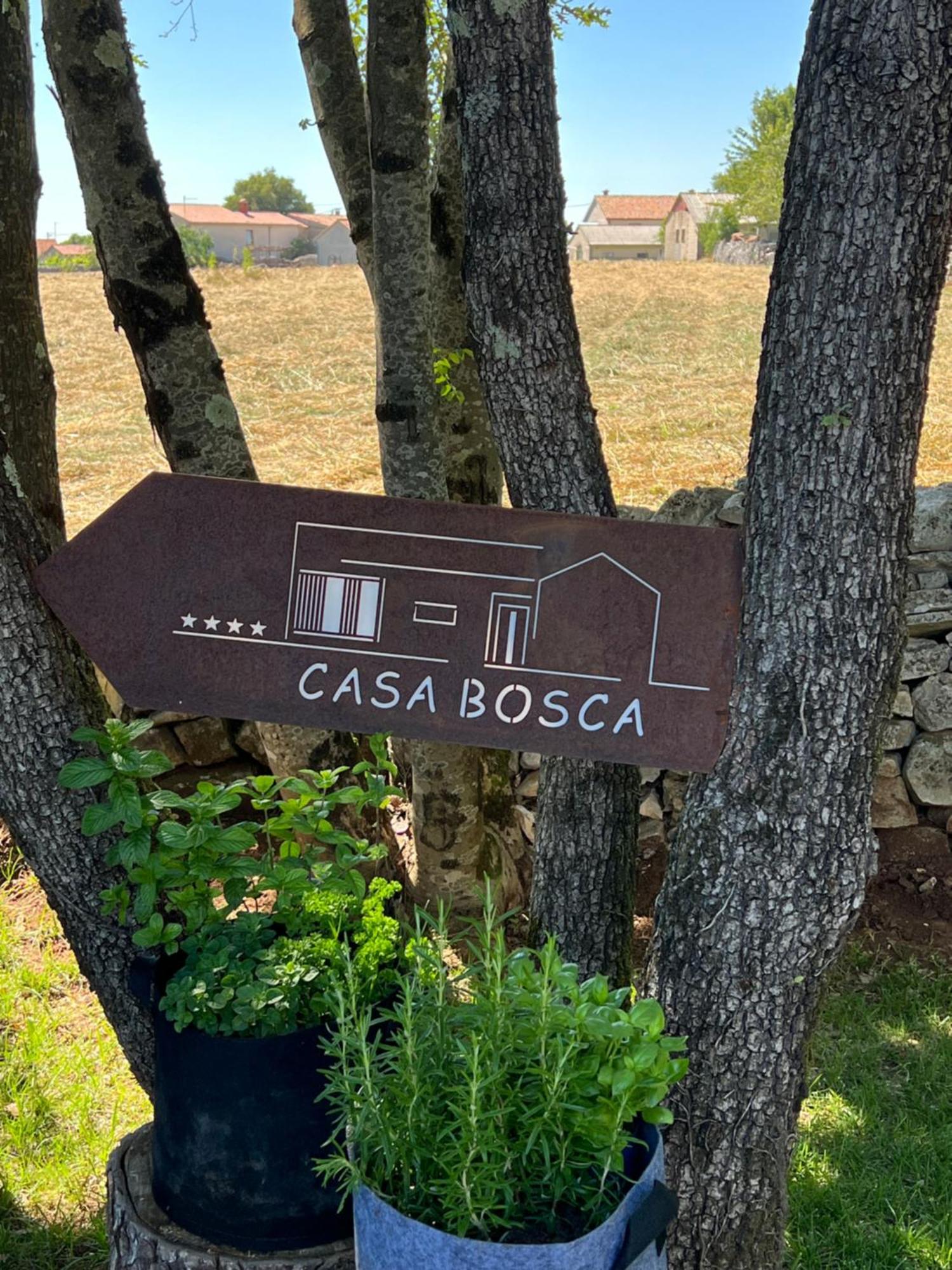 Villa Casa Bosca With Heated Pool *